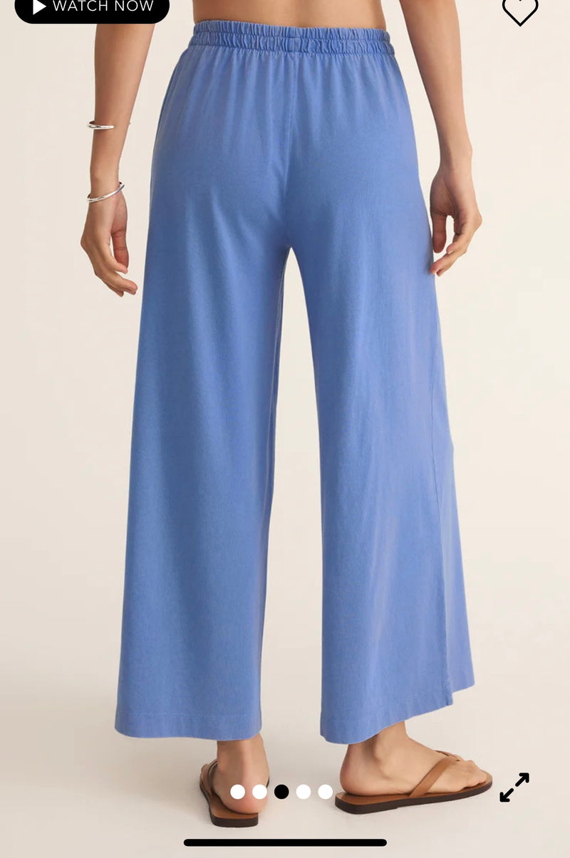 Z Supply Scout Jersey Pant