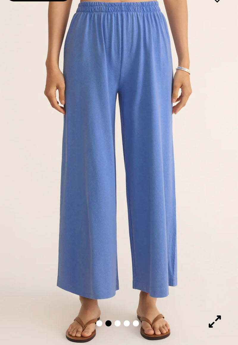 Z Supply Scout Jersey Pant
